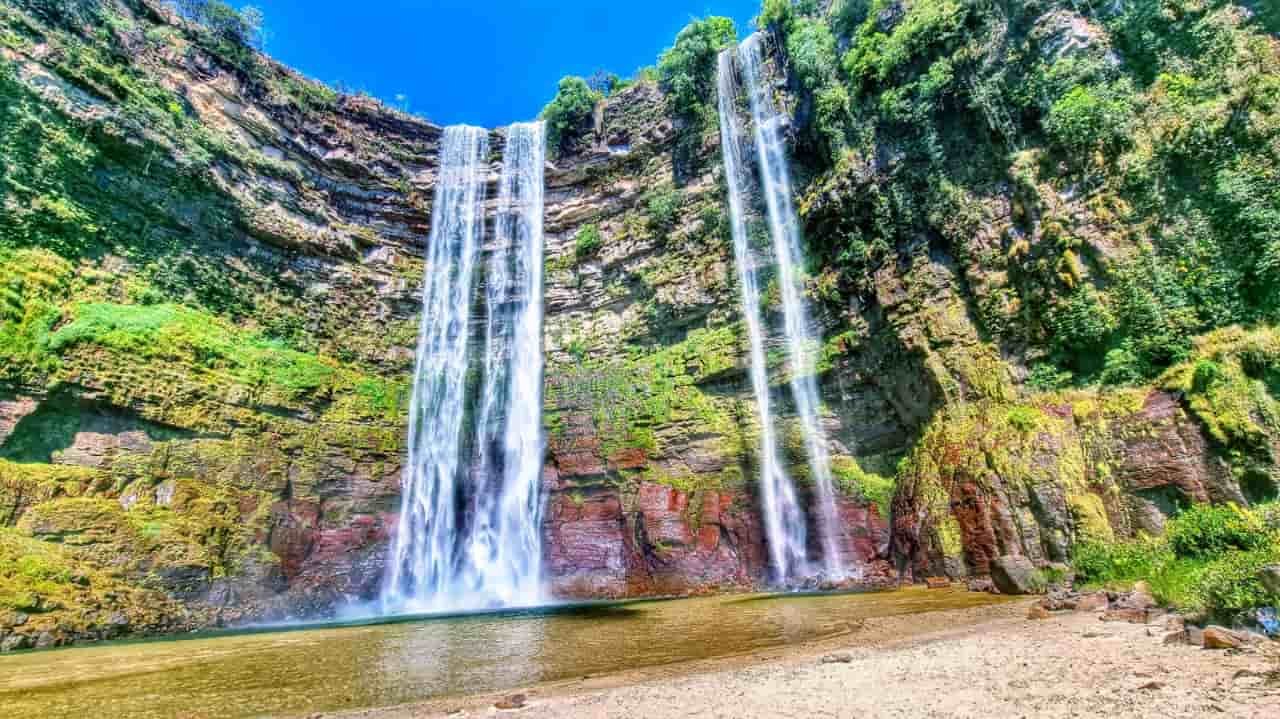 Parque Nacional das Emas, Goiás: O Cerrado em Sua Essência - Roteiro para Safáris, Observação de Fauna, Contemplação e Aventura Noturna