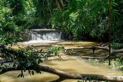 Mondulkiri: Uma província intocada do Camboja